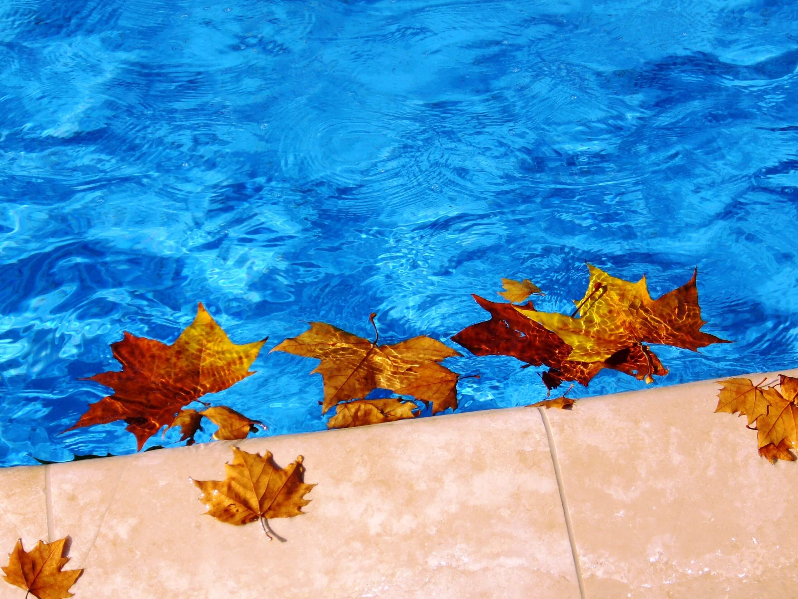 Fall in the Pool
